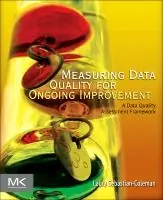 Measuring Data Quality for Ongoing Improvement | 0:e upplagan Outlet