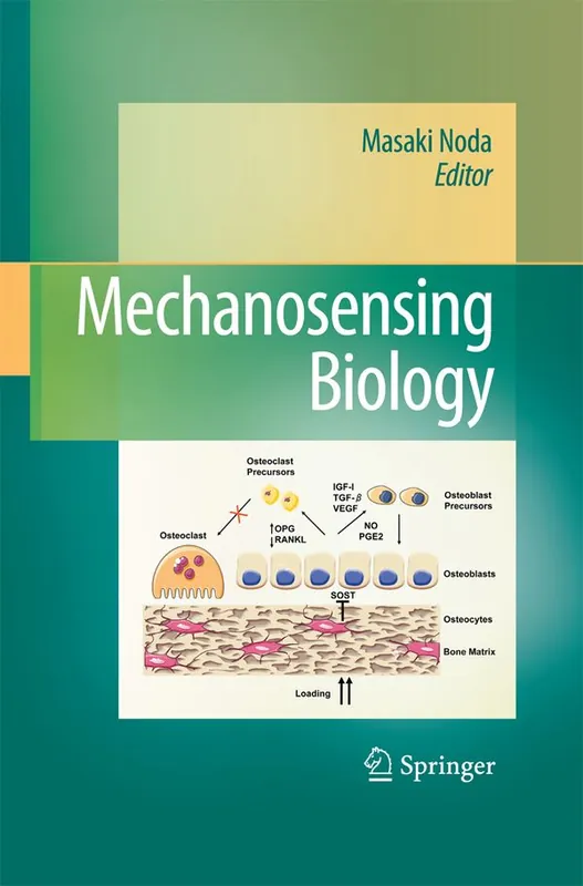 Trygg betalning Mechanosensing Biology | 1:a upplagan