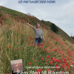 Sista chansen Med fötterna på Jorden : och med huvudet bland molnen | 1:a upplagan