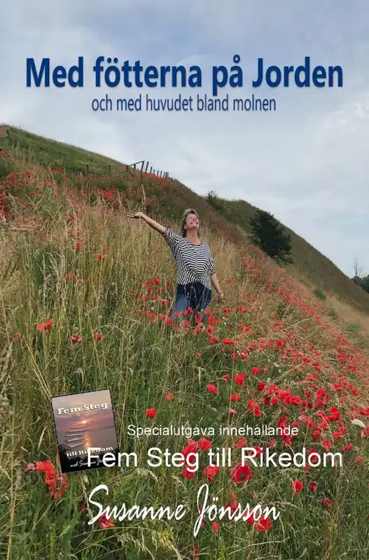 Sista chansen Med fötterna på Jorden : och med huvudet bland molnen | 1:a upplagan