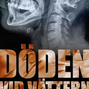 Medan staden sover : en roman om brott | 0:e upplagan Extra rabatt