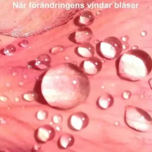 Meditationens ord: När förändringens vindar blåser | 1:a upplagan Erbjudandepris