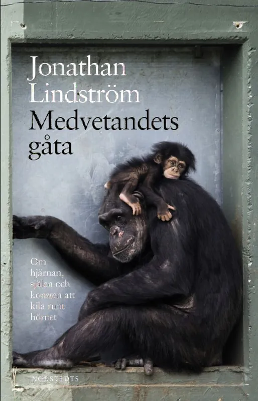 Medvetandets gåta : Om hjärnan, själen och konsten att kila runt hörnet | 2:a upplagan Sista chansen