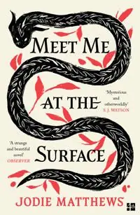 Meet Me at the Surface | 0:e upplagan Lägg i varukorgen