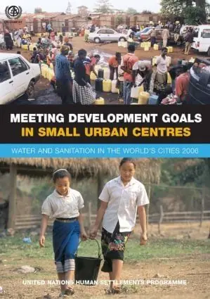 Meeting Development Goals in Small Urban Centres | 1:a upplagan I lager