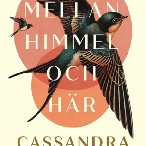 Sänkt pris Mellan himmel och här | 1:a upplagan