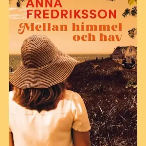 Säker betalning Mellan himmel och hav (lättläst) | 0:e upplagan