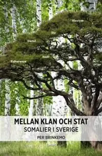 Rea Mellan klan och stat : somalier i Sverige | 1:a upplagan