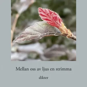 Mellan oss av ljus en strimma | 1:a upplagan Reapris
