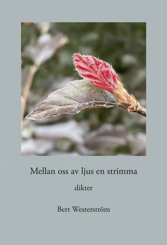 Mellan oss av ljus en strimma | 1:a upplagan Reapris
