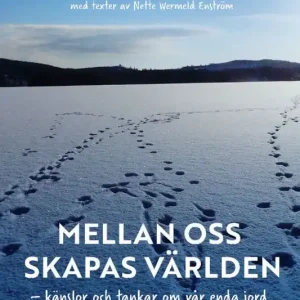 Begränsat antal Mellan oss skapas världen : känslor och tankar om vår enda jord | 0:e upplagan