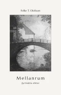 Trygg betalning Mellanrum | 1:a upplagan