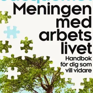 Snabb frakt Meningen med arbetslivet : Handbok för dig som vill vidare | 1:a upplagan