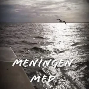 Meningen med livet | 0:e upplagan Begränsat antal