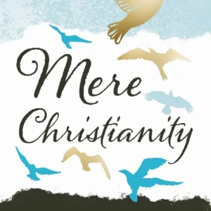 Rabatt Mere Christianity | 0:e upplagan