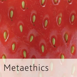 risnedsättning Metaethics | 2 012:e upplagan