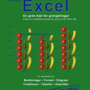 Microsoft Excel : en grön bok för gröngölingar - för version 2019 / Office 365 | 2:a upplagan Lägg i varukorgen