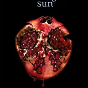 Snabb leverans Midnight Sun | 0:e upplagan