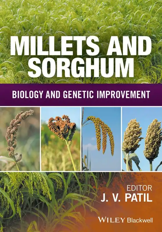 Köp online Millets and Sorghum: Biology and Genetic Improvement | 1:a upplagan