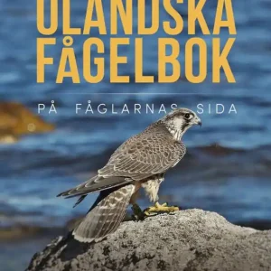 MIN ÖLÄNDSKA FÅGELBOK PÅ FÅGLARNAS SIDA | 1:a upplagan Billig