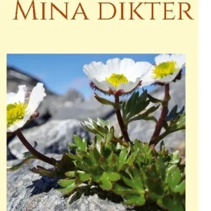 Endast idag Mina dikter | 1:a upplagan