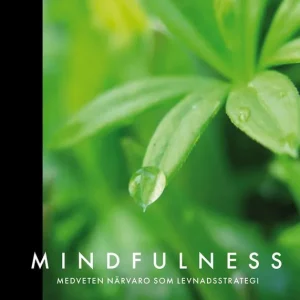 Premium Mindfulness : medveten närvaro som levnadsstrategi | 0:e upplagan