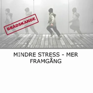 Mindre stress : mer framgång | 0:e upplagan Säker betalning