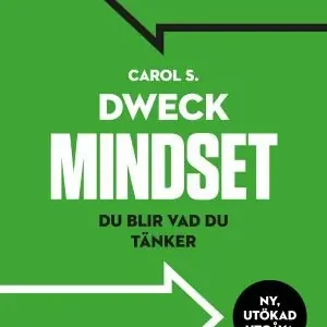 Fynd Mindset : Du blir vad du tänker | 2:a upplagan