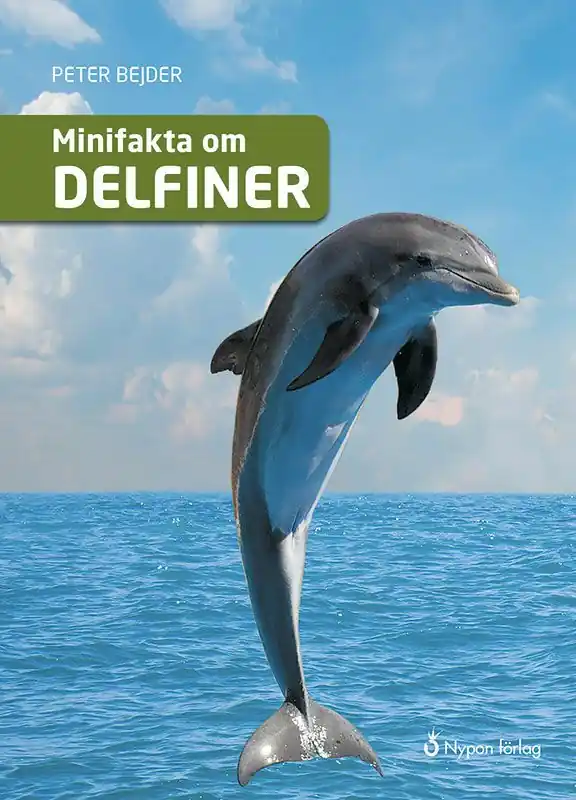 Fynd Minifakta om delfiner | 0:e upplagan