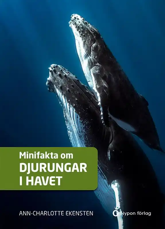 Minifakta om djurungar i havet | 1:a upplagan Snabb frakt