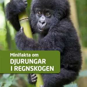 Billigare Minifakta om djurungar i regnskogen | 0:e upplagan