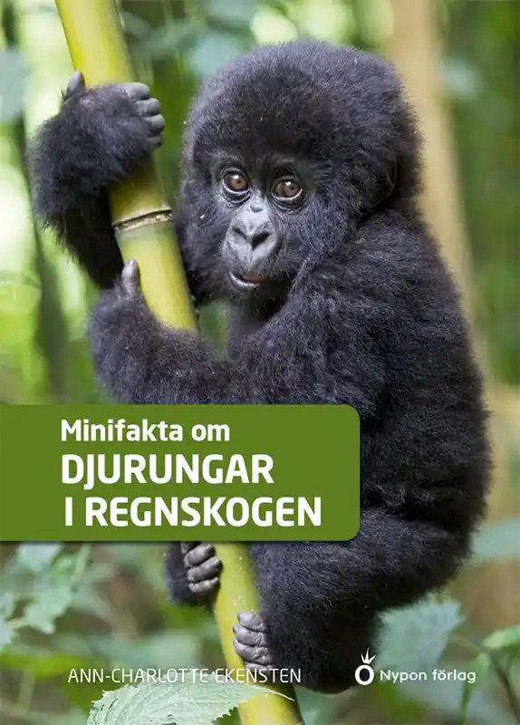 Billigare Minifakta om djurungar i regnskogen | 0:e upplagan