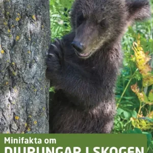 Endast denna vecka Minifakta om djurungar i skogen | 0:e upplagan
