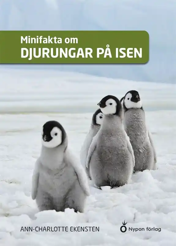 Minifakta om djurungar på isen | 1:a upplagan Endast denna vecka