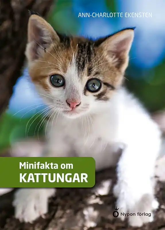 Nyhet Minifakta om kattungar | 0:e upplagan