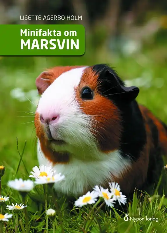 Köp online Minifakta om marsvin | 0:e upplagan