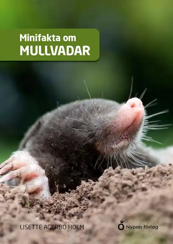 Minifakta om mullvadar | 0:e upplagan Snabb leverans