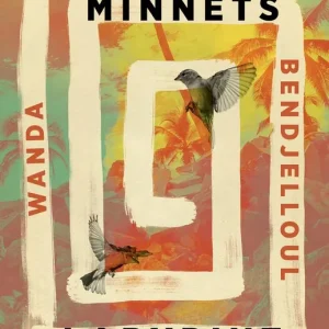 Fynd Minnets labyrint | 1:a upplagan