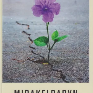 Mirakelbabyn | 0:e upplagan Rabatter