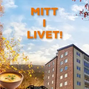 Mitt i livet | 1:a upplagan Erbjudande