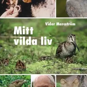Snabb frakt Mitt vilda liv | 0:e upplagan