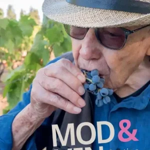 Mod & vin – Cantina Santadi | 0:e upplagan Handla nu
