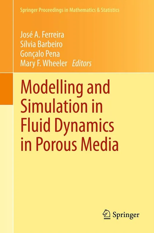 Modelling and Simulation in Fluid Dynamics in Porous Media | 1:a upplagan Extra rabatt