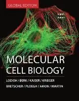 Molecular Cell Biology | 8:e upplagan Snabb frakt