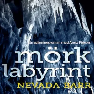 Nedsatt pris Mörk labyrint | 0:e upplagan