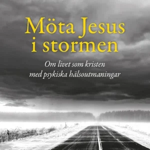 Möta Jesus i stormen: Det andliga livet hos kristna med psykiska hälsoutmaningar | 1:a upplagan Billigare