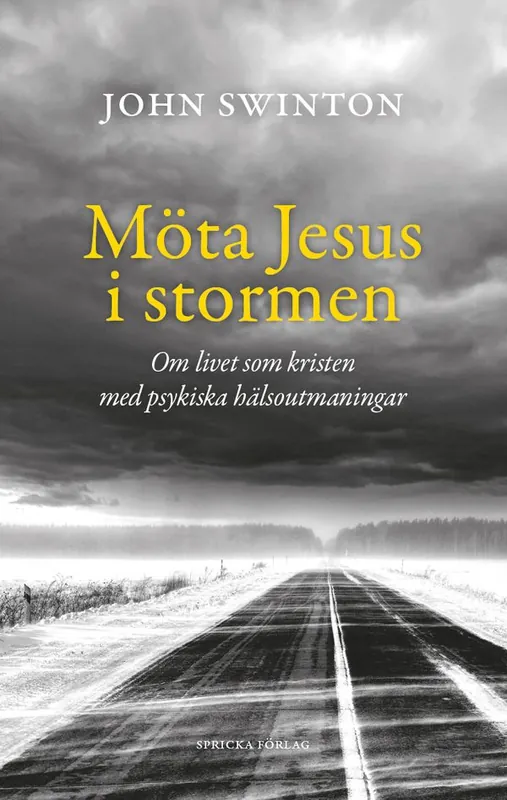 Möta Jesus i stormen: Det andliga livet hos kristna med psykiska hälsoutmaningar | 1:a upplagan Billigare
