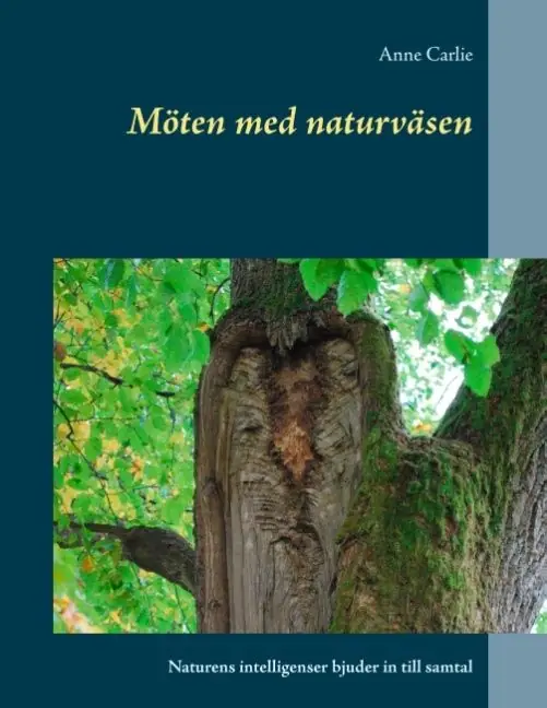 Fynd Möten med naturväsen | 1:a upplagan