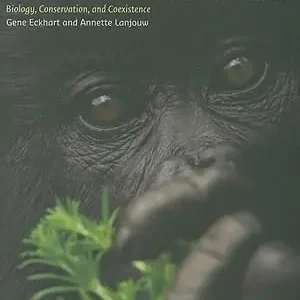 Sänkt pris Mountain Gorillas | 0:e upplagan