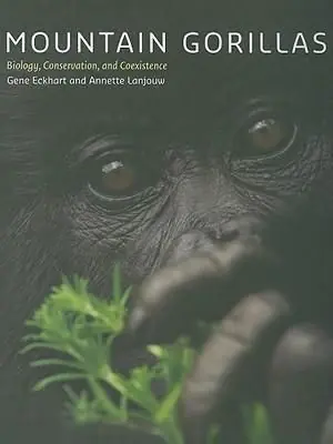Sänkt pris Mountain Gorillas | 0:e upplagan